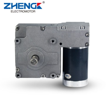 Worm gear motor ZGW1269FGG Zhengk Gearmotor For...