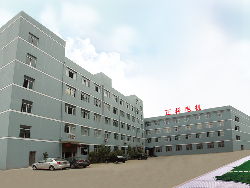 Common Faults and Solutions of Synchronous Motors