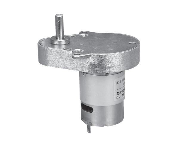 ZS-RO Zhengke PMDC Motor.jpg